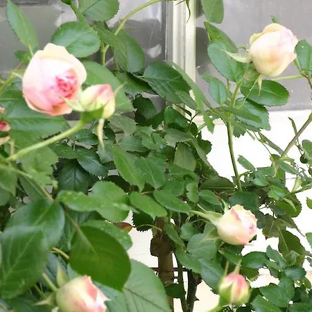 La Touraine Romantique Lamartine Plumereau Apartman