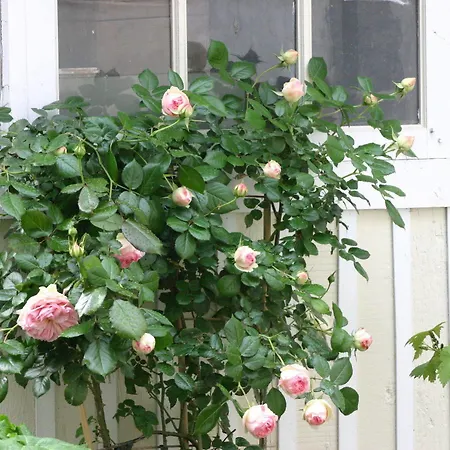 Apartman La Touraine Romantique Lamartine Plumereau Tours